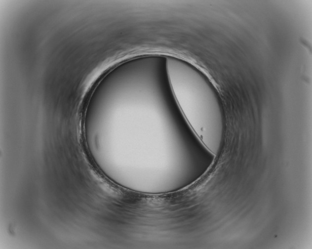 X0000096961511200802080847