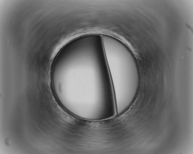 X0000096961512200802080848