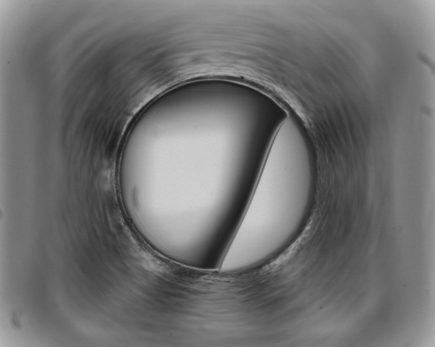 X0000096961513200802080848