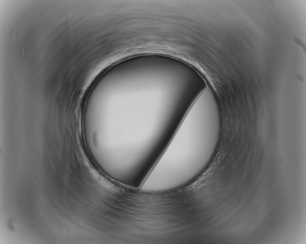 X0000096961515200802080848