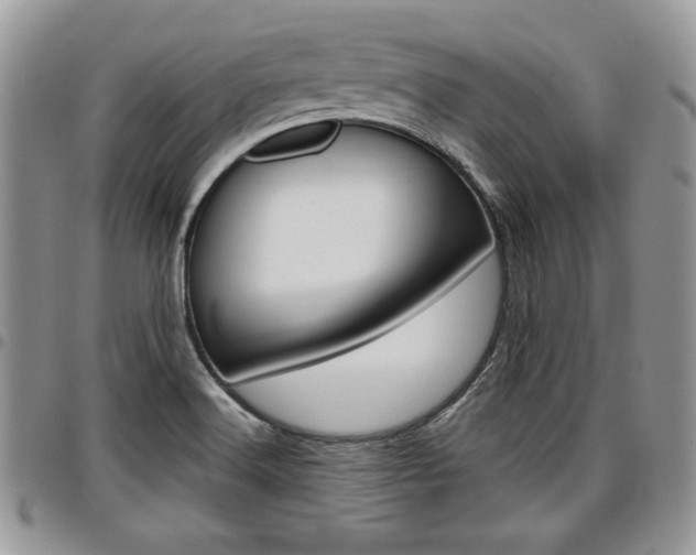 X0000096961516200802080848