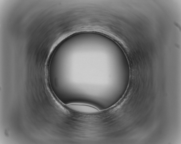 X0000096961517200802080848