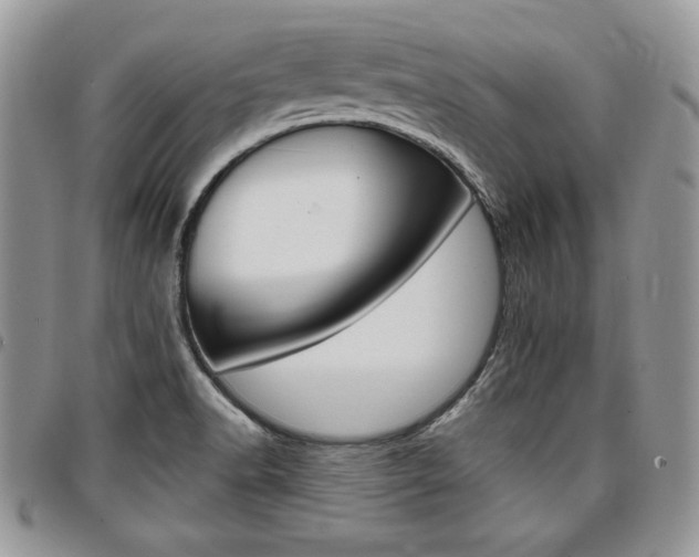 X0000096961518200802080848