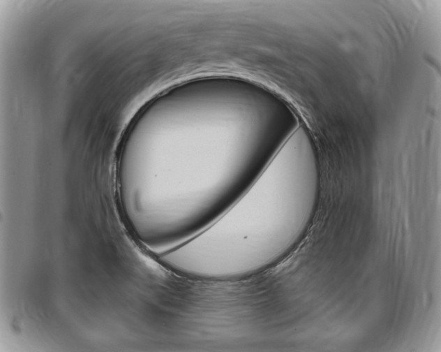 X0000096961519200802080848