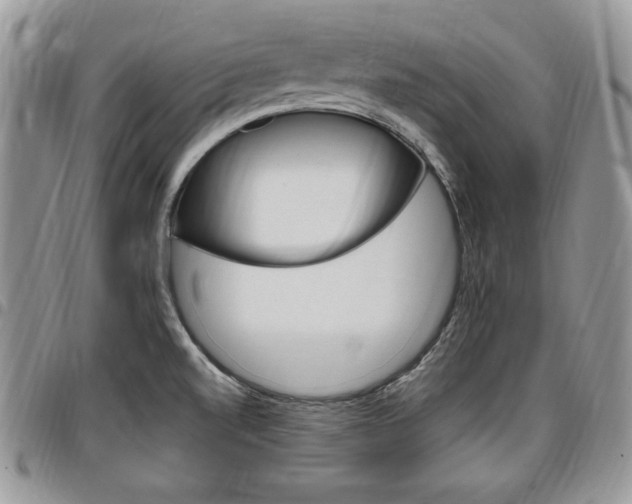 X0000096961520200802080848