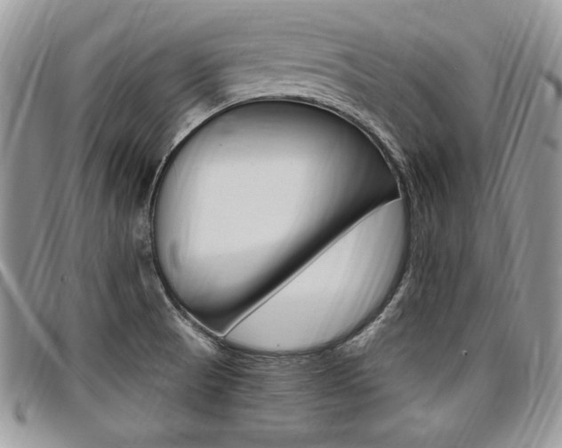 X0000096961521200802080848