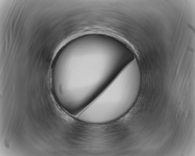 X0000096961522200802080848
