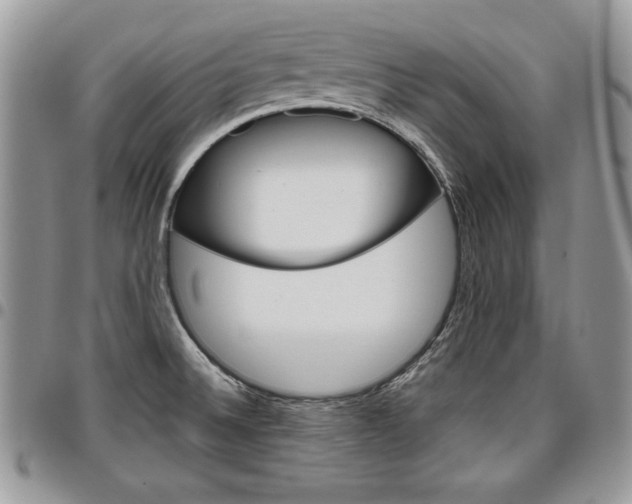 X0000096961524200802080848