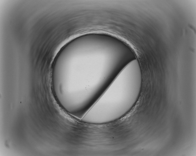 X0000096961526200802080848