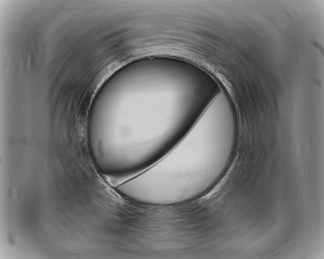 X0000096961529200802080848