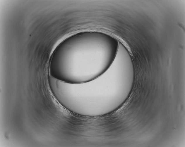 X0000096961530200802080848