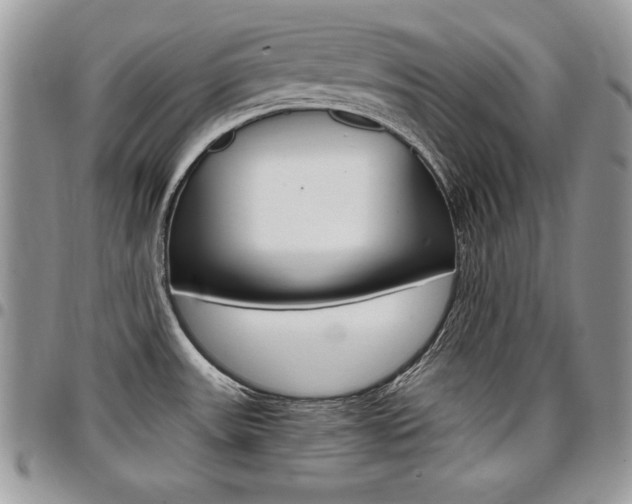X0000096961531200802080848