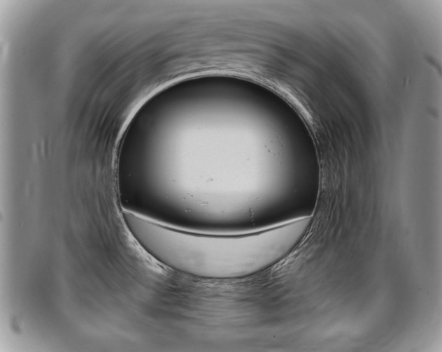 X0000096961532200802080848