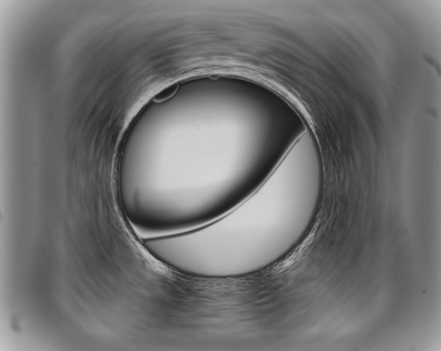 X0000096961533200802080848