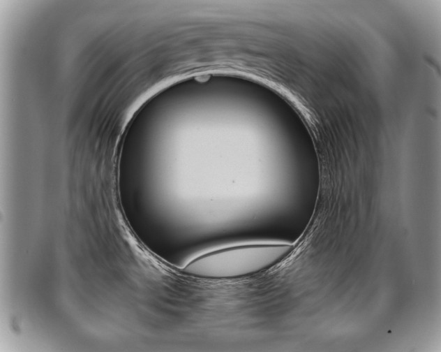 X0000096961534200802080848