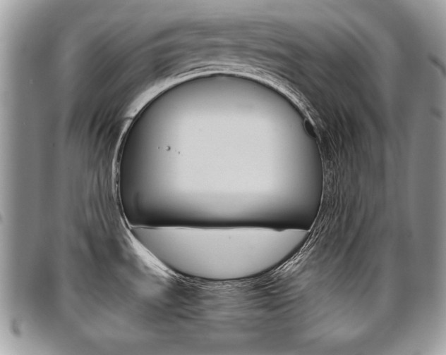 X0000096961535200802080848