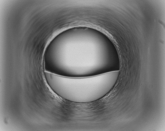 X0000096961536200802080848