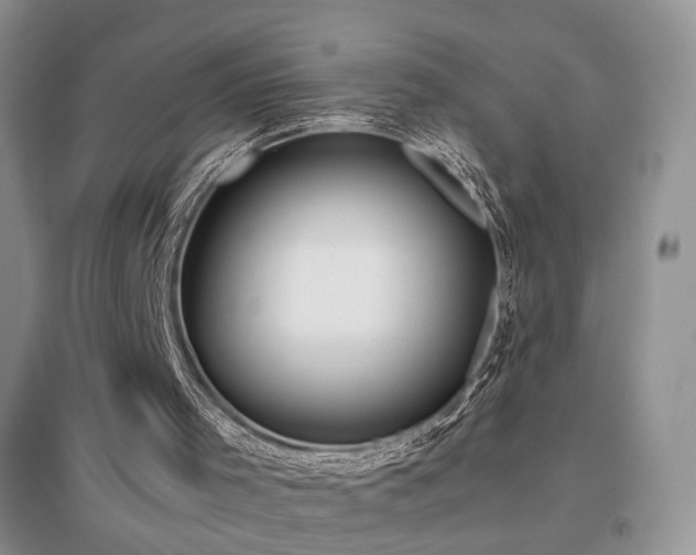 X0000096960001200802081240