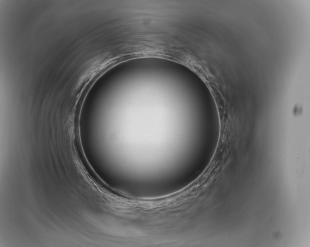 X0000096960002200802081240