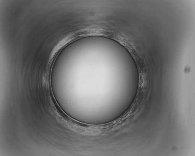 X0000096960004200802081240