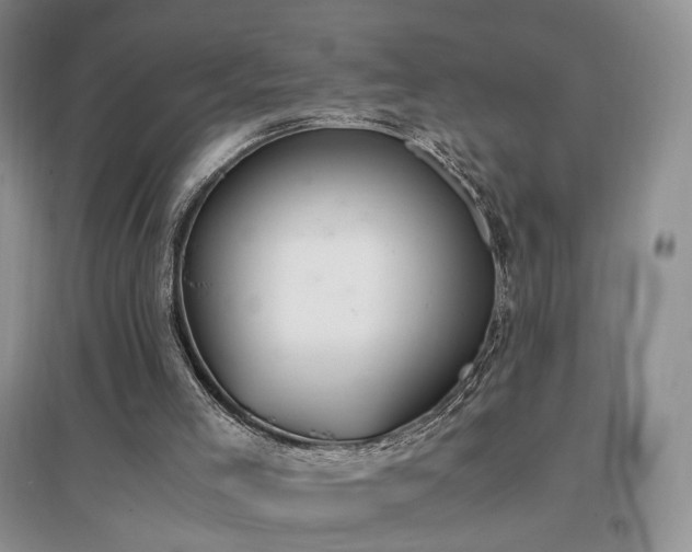 X0000096960005200802081240