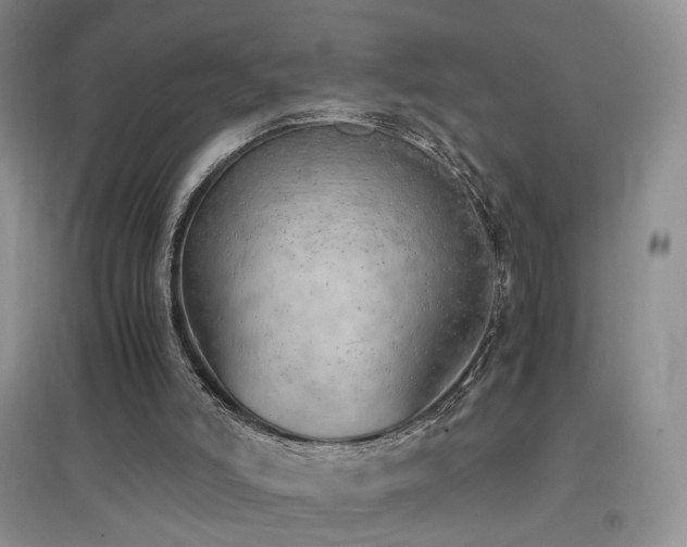 X0000096960006200802081240