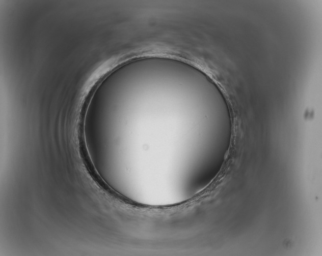 X0000096960007200802081240