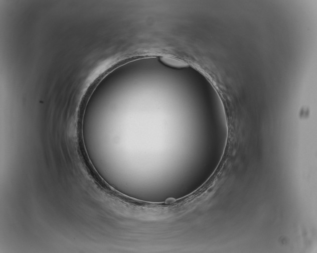 X0000096960008200802081240