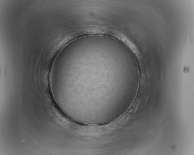 X0000096960009200802081240