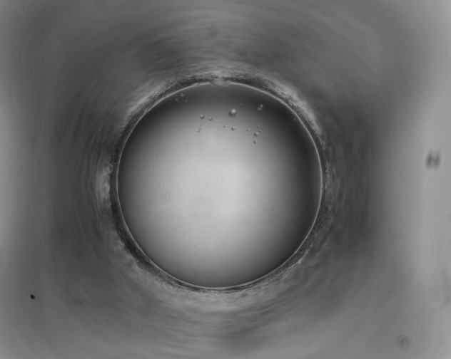 X0000096960010200802081240