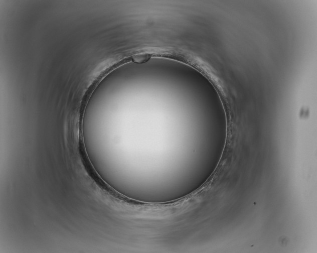 X0000096960011200802081240