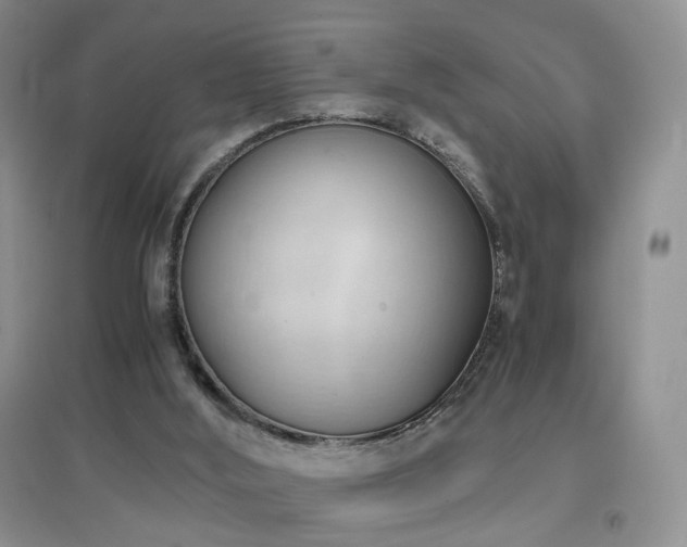 X0000096960012200802081240