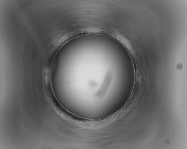 X0000096960013200802081240