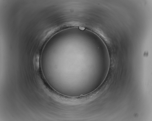 X0000096960014200802081240