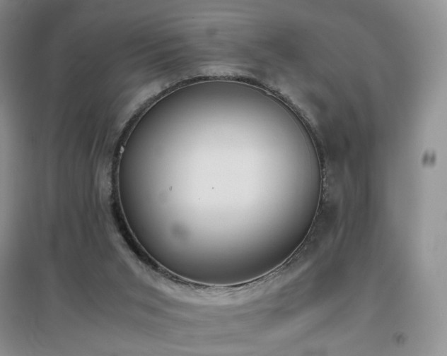 X0000096960015200802081240