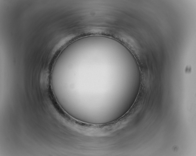 X0000096960016200802081240