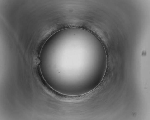 X0000096960017200802081240