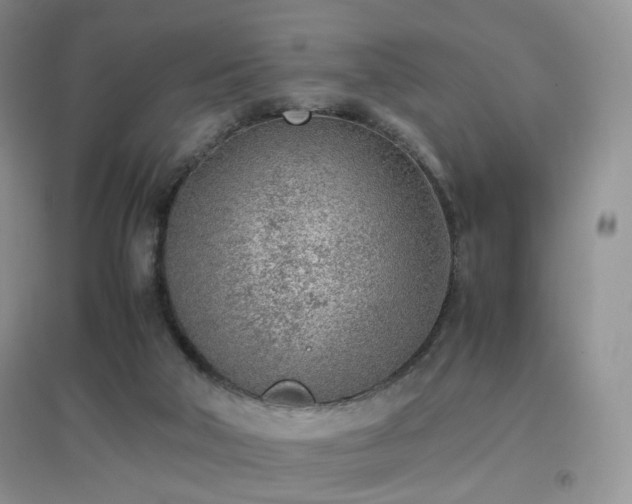 X0000096960018200802081240