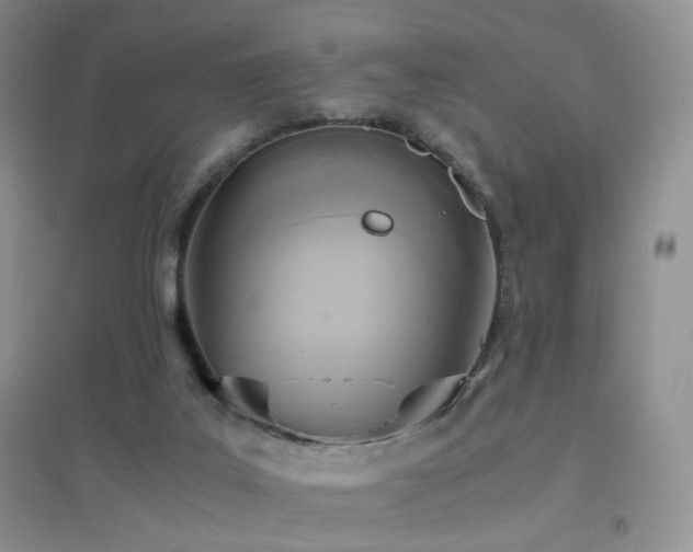 X0000096960019200802081240