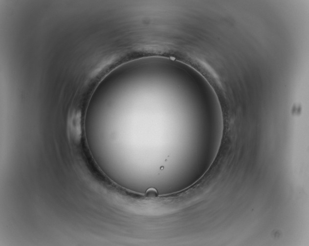 X0000096960020200802081240