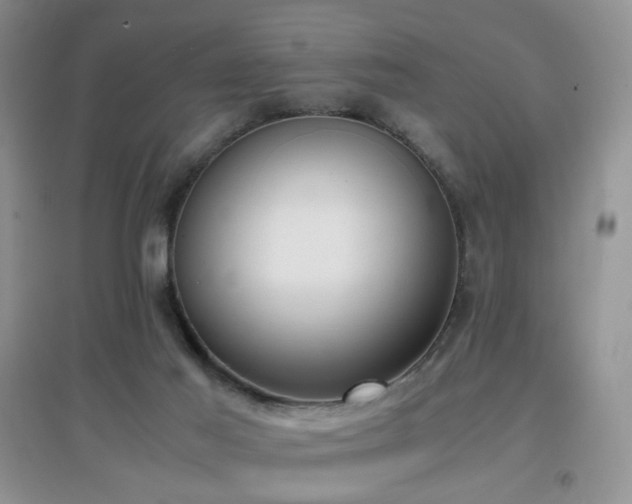 X0000096960021200802081240