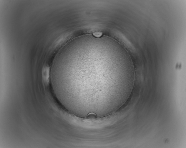 X0000096960022200802081240