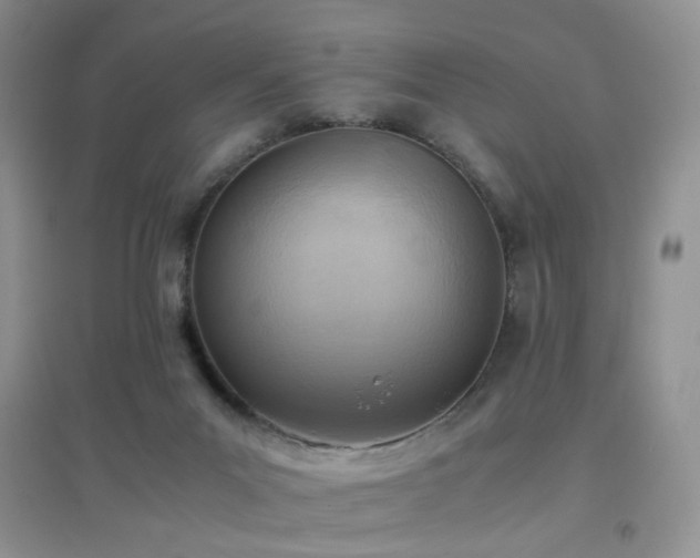 X0000096960023200802081240