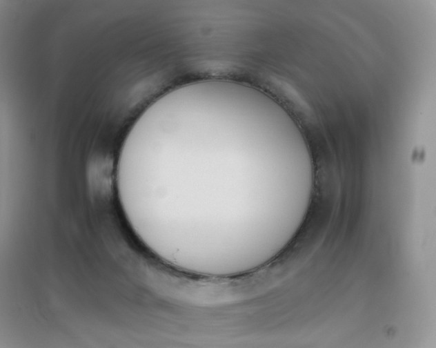 X0000096960024200802081240