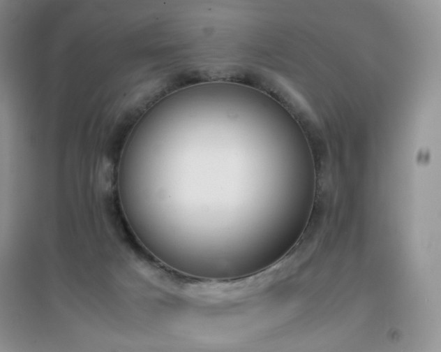 X0000096960025200802081240