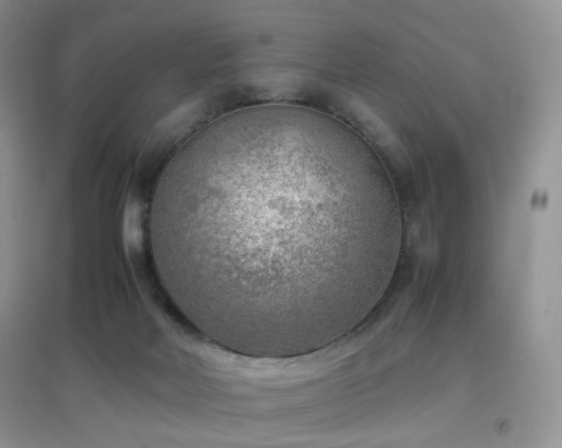 X0000096960026200802081240