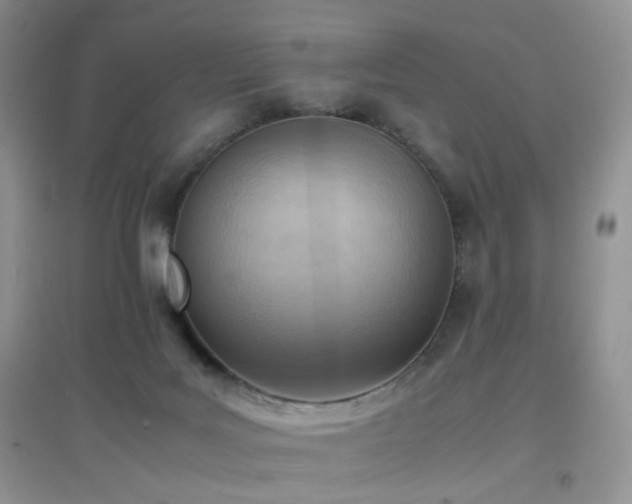 X0000096960027200802081240