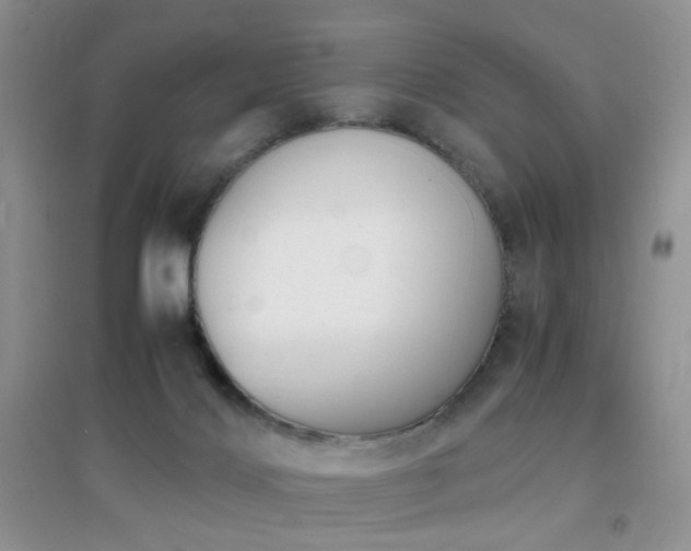 X0000096960028200802081240