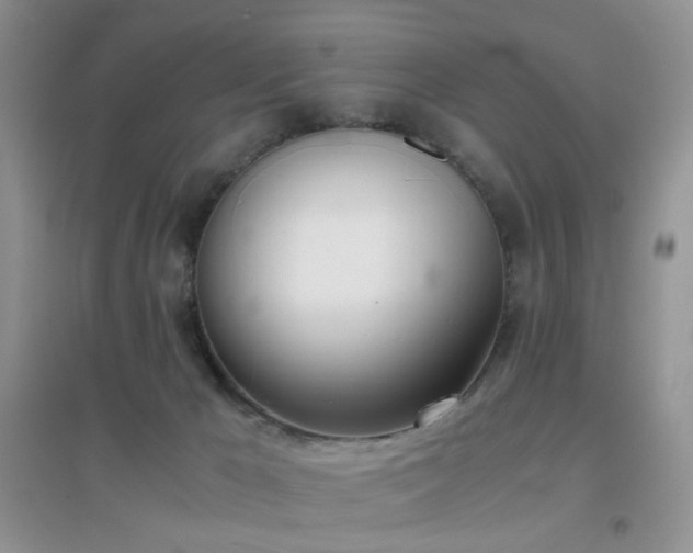 X0000096960029200802081240