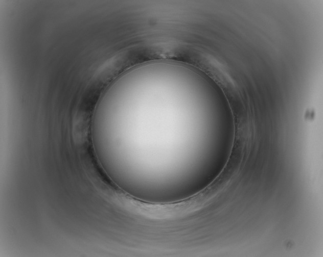 X0000096960030200802081240